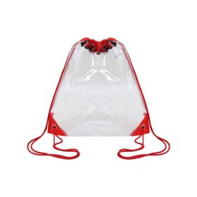Transparent Backpack